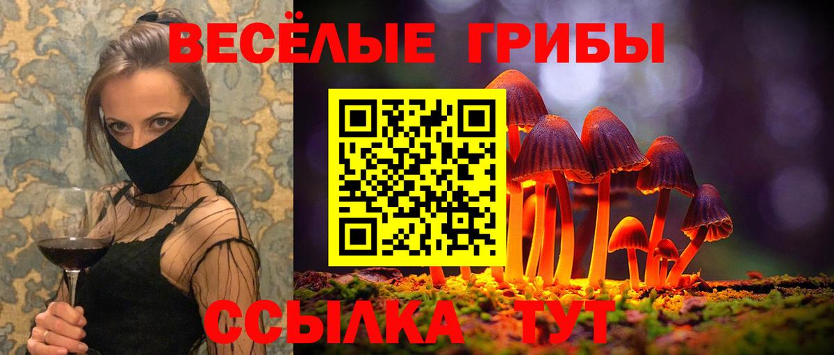 Галлюциногенные грибы GOLDEN TEACHER Канск