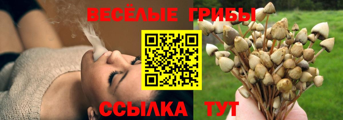 Канск  Галлюциногенные грибы GOLDEN TEACHER  Галлюциногенные грибы Psilocybine cubensis  Вход с VPN 